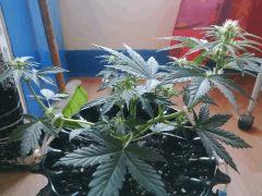 IMG 20150530 181231