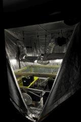 Photo 002