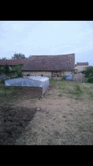1ere culture exterieure . Ete 2014 . Autoflo 6x super skunk 6x white diesel