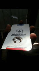 1ere culture exterieure . Ete 2014 . Autoflo 6x super skunk 6x white diesel