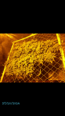2014 11 21 10 50 37
