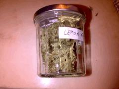 LK2