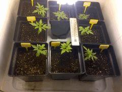 Ensemble 15/12/14 FLO jour 0