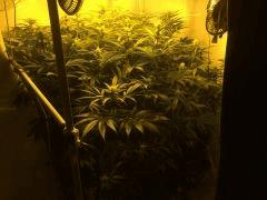 IMG 1580 (original)