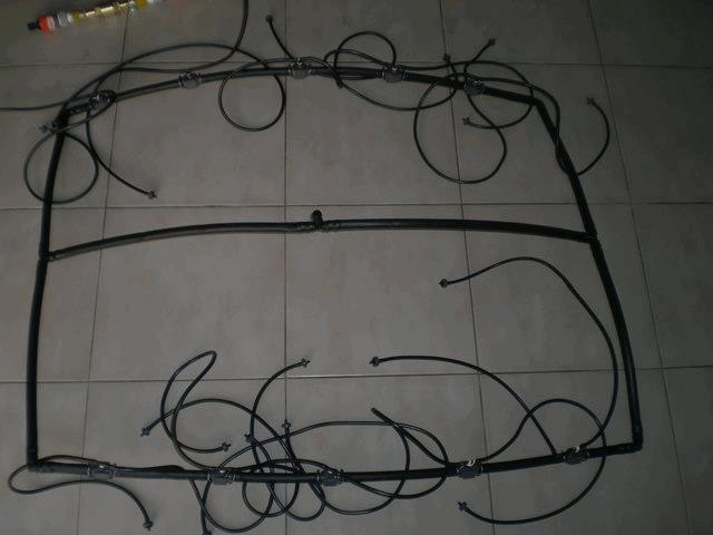 dscn3929es