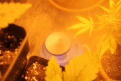 IMG 4592