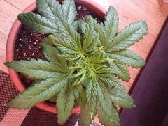 IMG 0847[1]