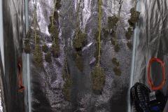 IMG 4610