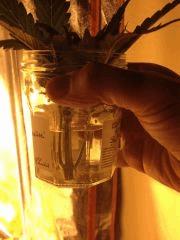 IMG 0831[1]