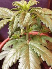 IMG 0845[1]