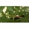 WP 20150216 006