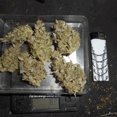 6 sommités 8.8g