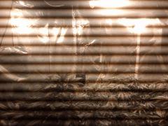 sous lampe