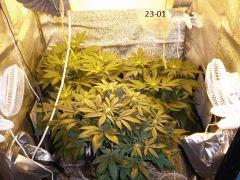 Box 23 01