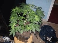 moby2 30 12