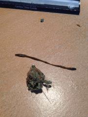un joint se prépare