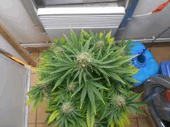 DSCN0697