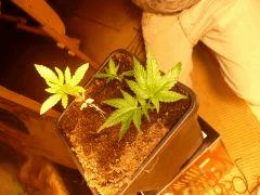 P1040203