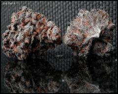 God Bud 8   1