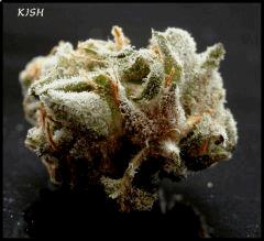 Kish  4