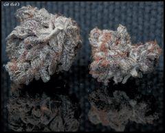God Bud 3   1