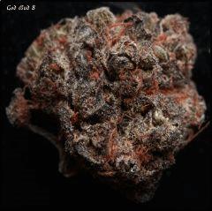 God Bud 8   2
