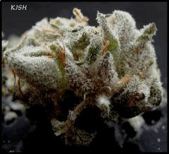 Kish  3