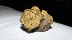 IMG 0582[1]
