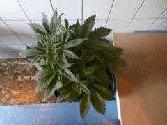 DSCN1598