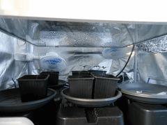 DSCN1452