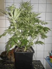 DSCN1759