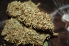 Bubba Kush