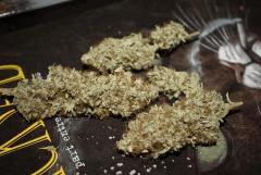 Bubba Kush