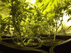 F25 5