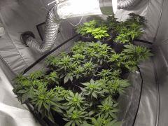 F5 2
