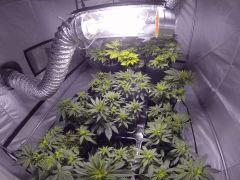 F5 3