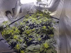 F10 2