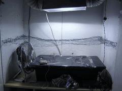 DSCN7728   Copie