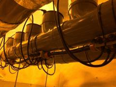 1er jardin Hydro X24  Indoor 660W