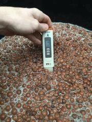 préparation des billes PH 6.0