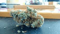 Cannalopz Haze