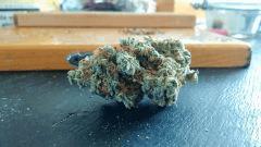 Blue Dream