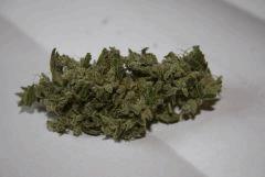 Candy kush