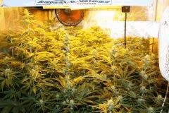 F 25