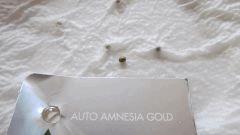 Germination AG