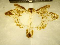 Rosin