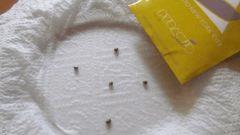 Germination NYC
