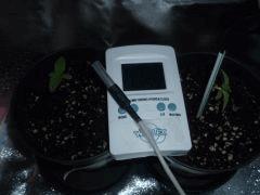 C5 (9)