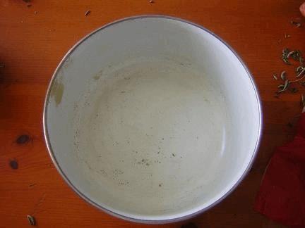 gallery_770987_4254_15447.jpg