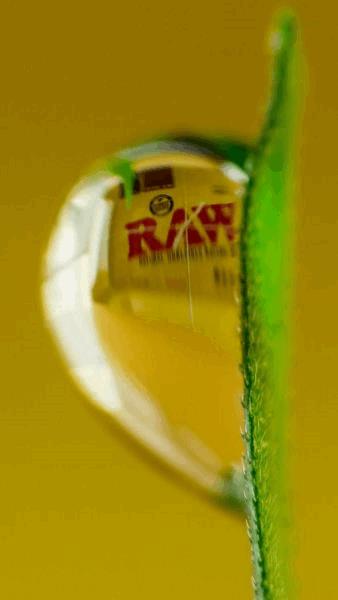 med_gallery_692363_4255_58304.jpg